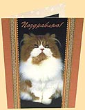 A Christmas puzzle-picture postcard